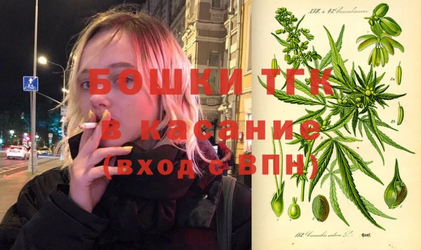 Альфа ПВП Богородицк