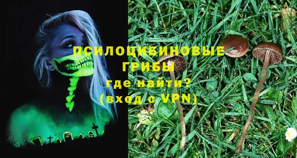 Альфа ПВП Богородицк