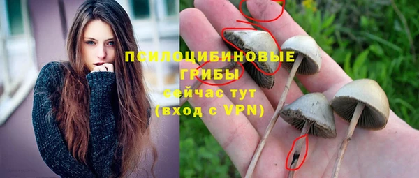 меф VHQ Богданович