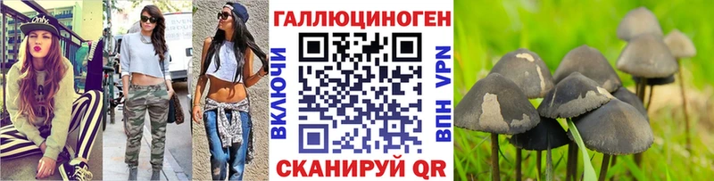 Псилоцибиновые грибы прущие грибы  Мурино 